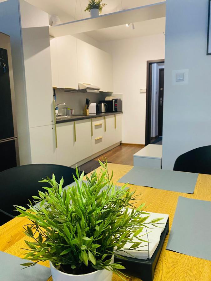 Apartament Zdroj Ladek エクステリア 写真